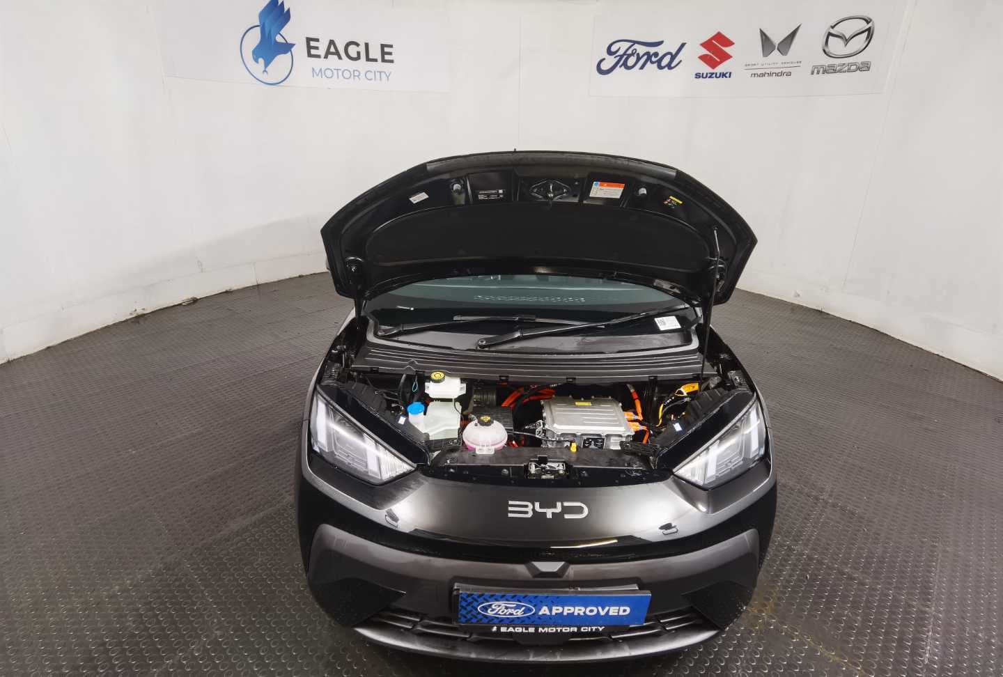 BYD DOLPHIN SURF COMFORT image 5