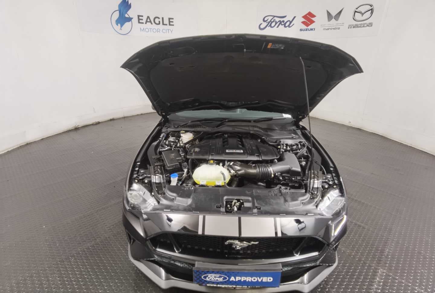 FORD MUSTANG 5.0 GT A/T image 4