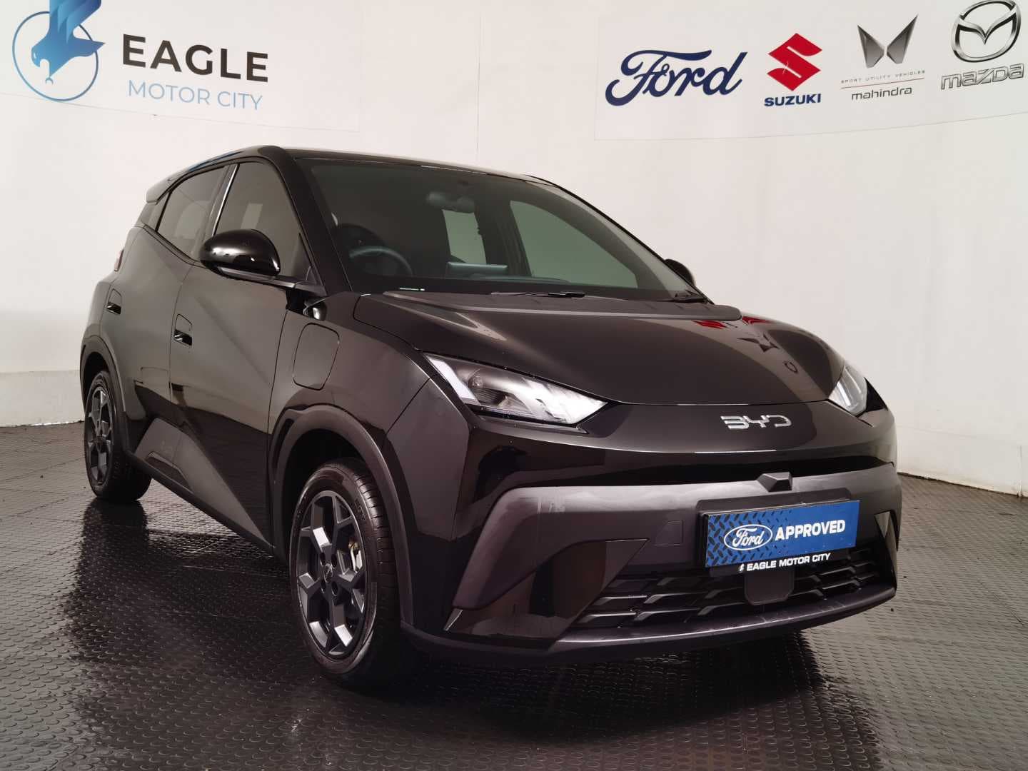 BYD DOLPHIN SURF COMFORT